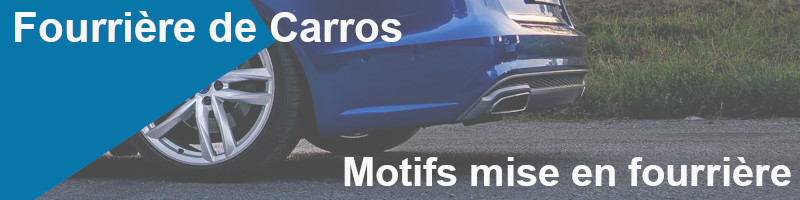 motifs mise en fourrière à Carros