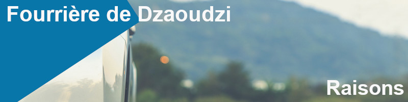 raisons d'une mise en fourrière à Dzaoudzi