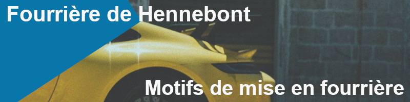 motifs mise en fourrière Hennebont