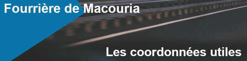 les coordonnées utiles pour contacter la fourrière de Macouria