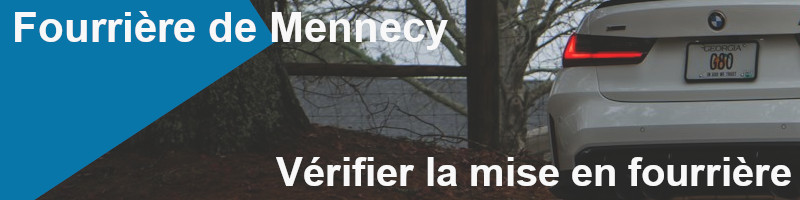 vérifier la mise en fourrière à Mennecy