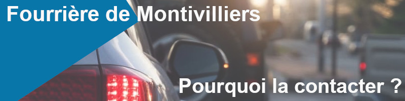 pourquoi contacter la fourrière de Montivilliers