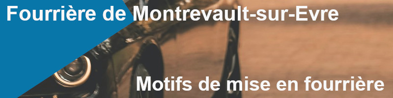 motifs de mise en fourrière à Montrevault-sur-Evre