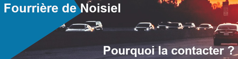 pourquoi contacter la fourrière de Noisiel ?