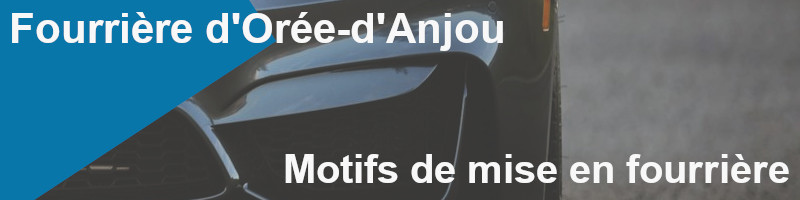 motifs de mise en fourrière à Orée-d'Anjou