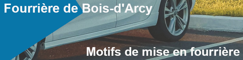 motifs de mise en fourrière à Bois-d'Arcy